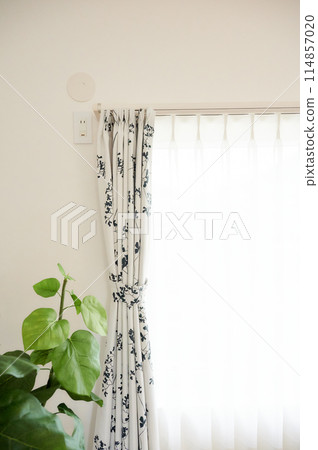 明亮的窗戶房間，室內植物，一間房間，臥室 114857020