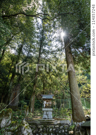 A view of the shrine near the remains of the rice storehouse at Mino Kanayama Castle A view of the shrine near the remains of the rice storehouse at Mino Kanayama Castle 114857248