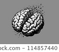 Brain cracking and broken illustration on gray BG 114857440