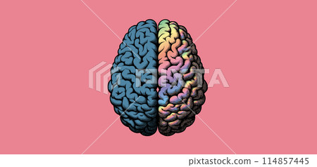 Blue and colorful hemisphere brain illustration 114857445