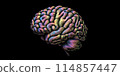 Colorful brain stencil on dark BG 114857447