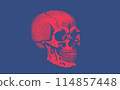 Red stencil skull vector illustration on blue BG 114857448