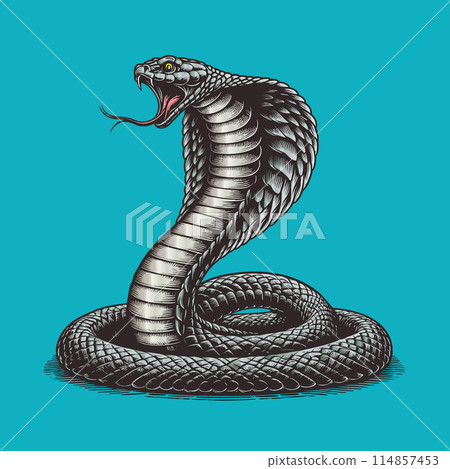 King cobra engaving with color on green BG 114857453