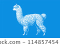 White stencil of alpaca on blue BG 114857454