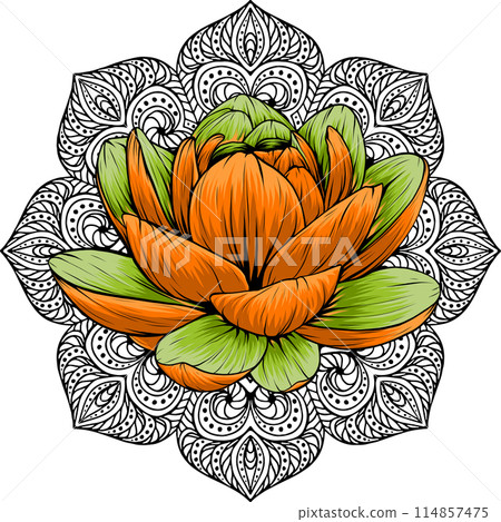 Beautiful flower Lily Lotus vector illustration design Beautiful flower Lily Lotus vector illustration design 114857475