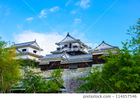 松山城 愛媛郡旅遊指南 114857546