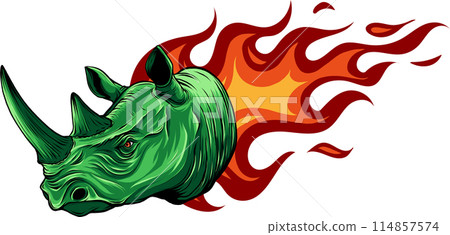 coloful head rhino. vector illustration design draw 114857574