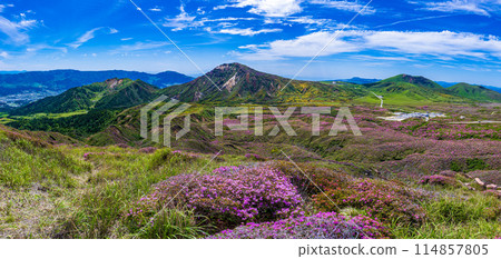 熊本縣阿蘇山，粳稻群落 從砂千里到薩拉山的攀登路線 114857805