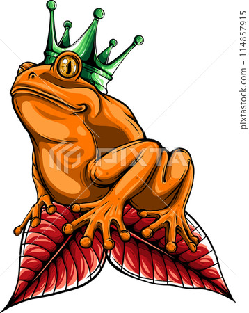colored draw of frog vector illustration design colored draw of frog vector illustration design 114857915