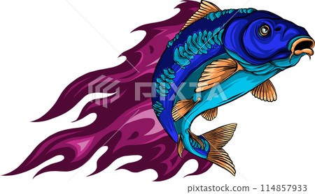 colored draw of Carp Fish Vector Illustration design colored draw of Carp Fish Vector Illustration design 114857933