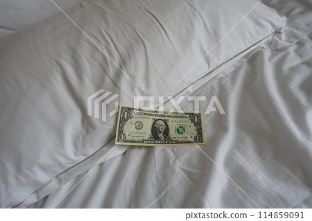 Pillow tip Bed making tip Dollar 114859091