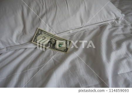 枕頭小費 整理床小費 美元 114859093