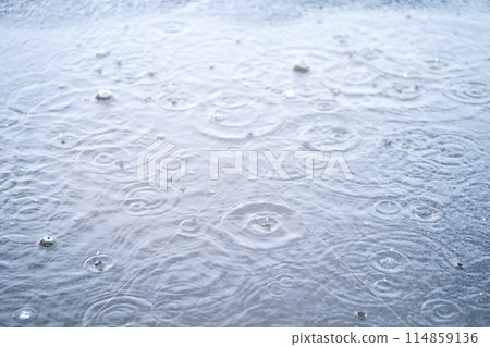 Circles and raindrops on the puddle. 114859136