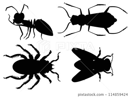 Silhouettes of Various Insects Collection 114859424