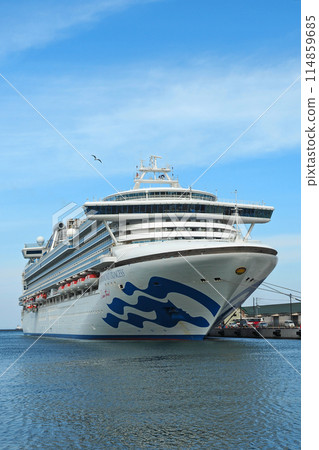 鑽石公主號遊輪 114859685