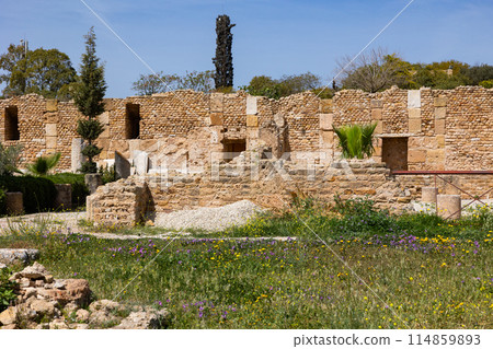 Ruins of roman villas in Carthage, Tunisia Ruins of roman villas in Carthage, Tunisia 114859893
