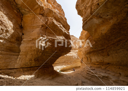 Canyon in Oasis of Tamaghza located in the hillcountry in Tunisia Canyon in Oasis of Tamaghza located in the hillcountry in Tunisia 114859921