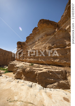 Desert canyon in oasis near waterfall of Tamaqzah, Tunisia 114859937