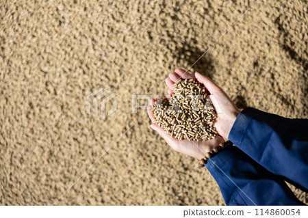 Calf feed, in hands of farmer 114860054