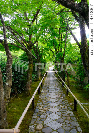 高峰光悅寺的參道 高峰光悅寺的參道 114860367