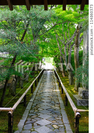 Approach to Takagamine Koetsuji Temple Approach to Takagamine Koetsuji Temple 114860373