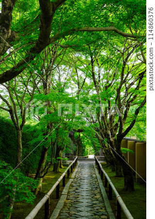 Approach to Takagamine Koetsuji Temple Approach to Takagamine Koetsuji Temple 114860376