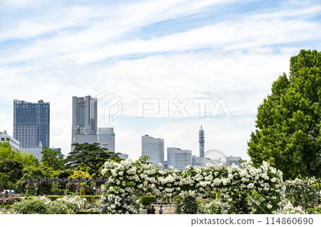 Yokohama scenery in May 114860690