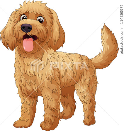 Cartoon happy golden doodle dog  114860975