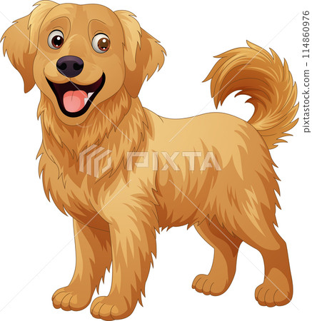 Cartoon happy golden retriever dog breed 114860976
