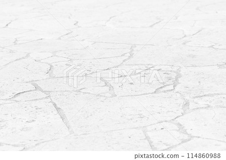 Stone paved park ground 114860988