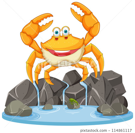 Happy Crab on Rocky Shore 114861117