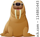 Cartoon happy walrus isolated on white background 114861443