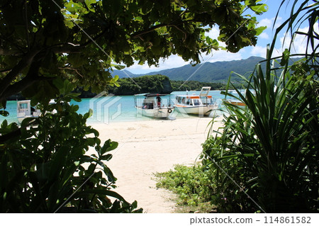 從樹蔭下看到的川平灣 從樹蔭下看到的川平灣 114861582