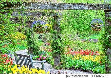 蓼科高地 Barakura 英國花園 蓼科高地 Barakura 英國花園 114863268