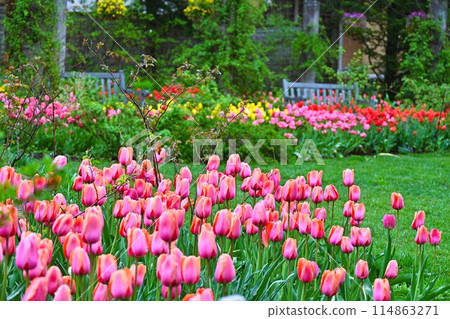 Tateshina Plateau Barakura English Garden 114863271