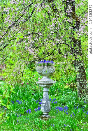 Tateshina Plateau Barakura English Garden 114863272