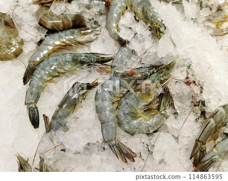 frozen fresh shrimp in supermarket 114863595