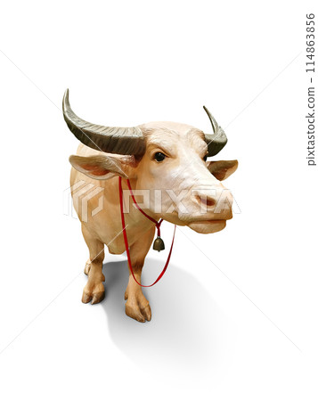 Buffalo mummy, white buffalo, isolated on white background. 114863856