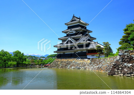 Snow-capped Northern Alps and Matsumoto Castle, a national treasure 114864304