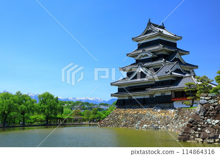 Snow-capped Northern Alps and Matsumoto Castle, a national treasure 114864316