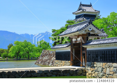 白雪皚皚的北阿爾卑斯山和國寶松本城 白雪皚皚的北阿爾卑斯山和國寶松本城 114864319