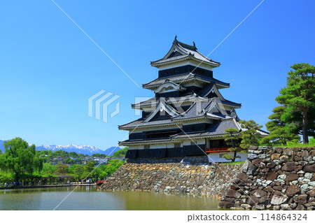Snow-capped Northern Alps and Matsumoto Castle, a national treasure 114864324