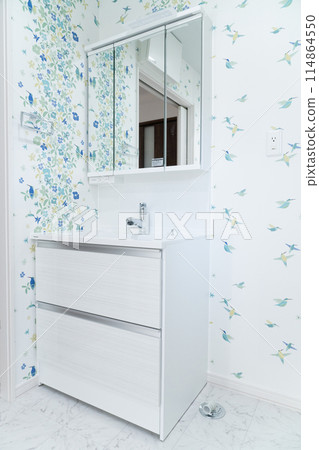 未使用的洗手盆 114864550