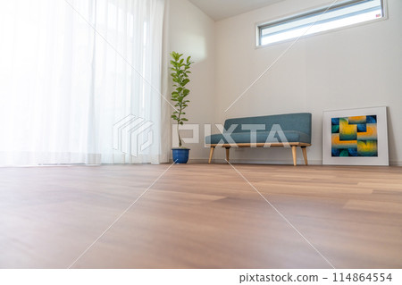 Living Room Flooring 114864554
