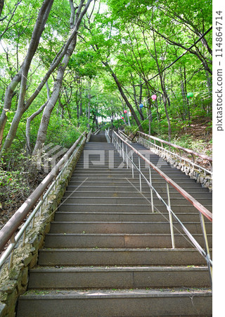 韓國南漢山城攀登路線長樓梯【南漢山城入口路線】 114864714