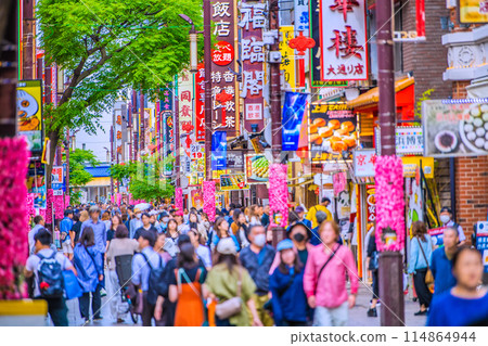 Yokohama cityscape in Japan in May. In the season of fresh greenery... inbound tourism is back... overlooking the bustling Yokohama Chinatown, etc. = 23rd Yokohama cityscape in Japan in May. In the season of fresh greenery... inbound tourism is back... overlooking the bustling Yokohama Chinatown, etc. = 23rd 114864944