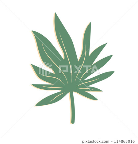 Tropical leaf. Exotic summer botanical icon. Vector illustration isolated on white background. 114865016