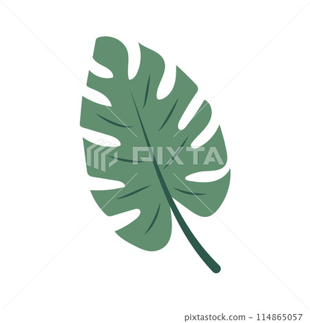 Tropical monstera leaf. Exotic summer botanical icon. Vector illustration isolated on white background. Tropical monstera leaf. Exotic summer botanical icon. Vector illustration isolated on white background. 114865057
