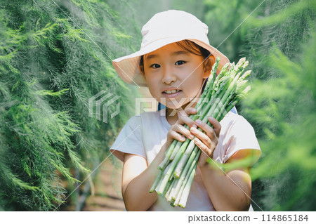 孩子們在享受收穫蔬菜的樂趣 孩子們在享受收穫蔬菜的樂趣 114865184