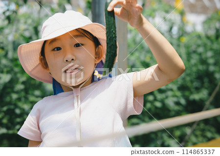 孩子們在享受收穫蔬菜的樂趣 孩子們在享受收穫蔬菜的樂趣 114865337